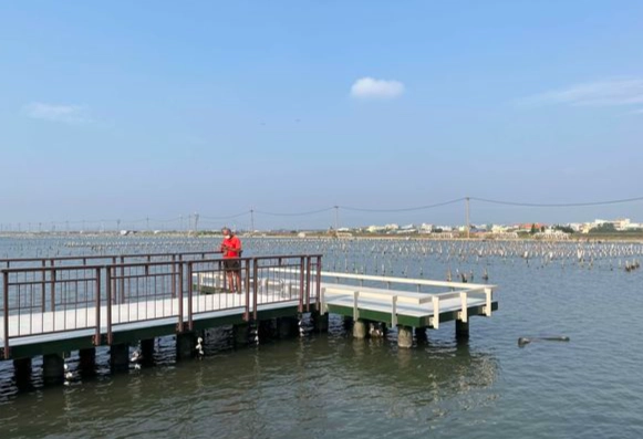 雲林民宿釣魚 雲林民宿釣魚