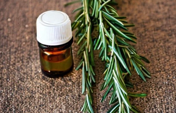 迷迭香料理 迷迭香料理