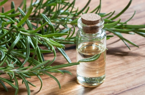 迷迭香精油選擇