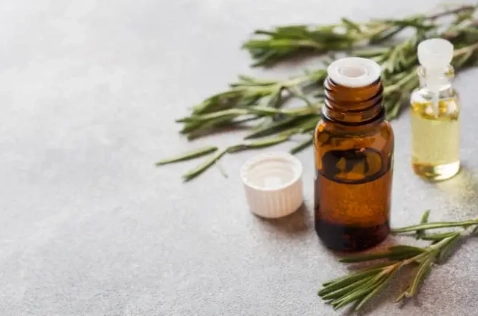 迷迭香精油功效 迷迭香精油功效