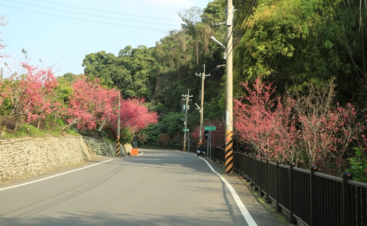 員林一日遊行程