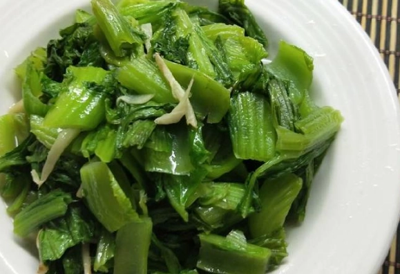 小芥菜種植 小芥菜種植