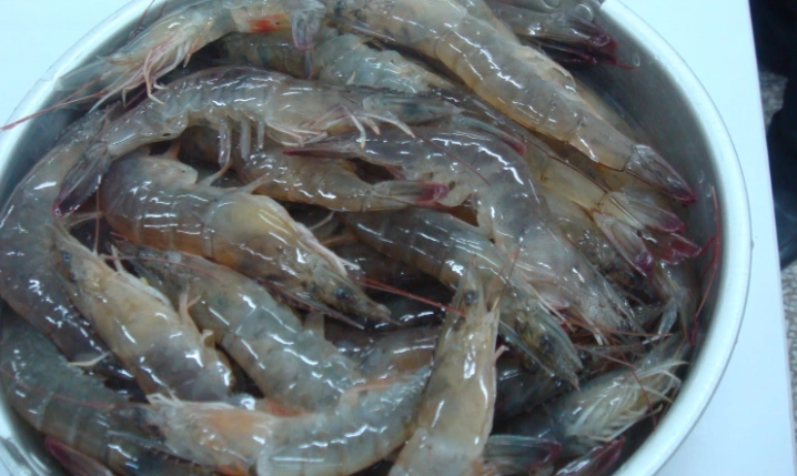 生醃蝦食譜