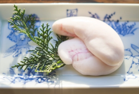 鱈魚白子營養 鱈魚白子營養