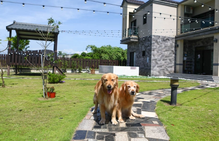 帶寵物旅行民宿