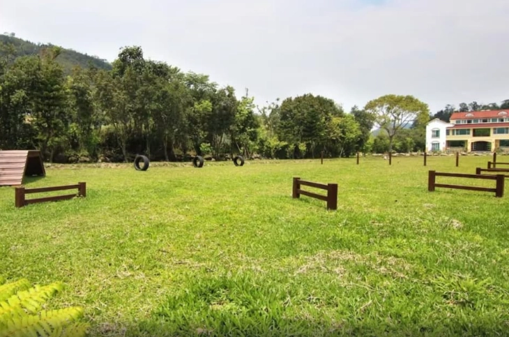 獨立草皮寵物民宿