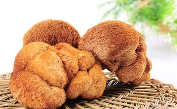 乾猴頭菇保存 乾猴頭菇保存