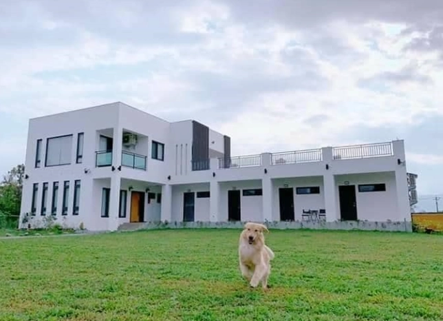 寵物友善住宿中部