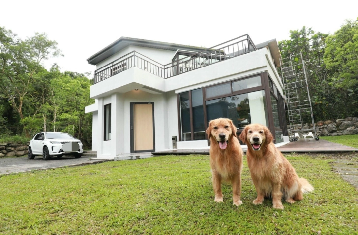 帶寵物旅行民宿