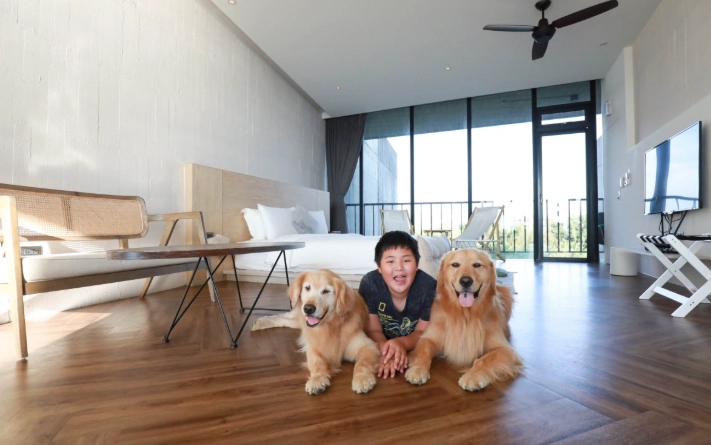 寵物友善民宿中部