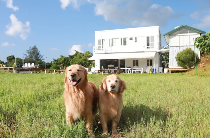 寵物友善民宿中部