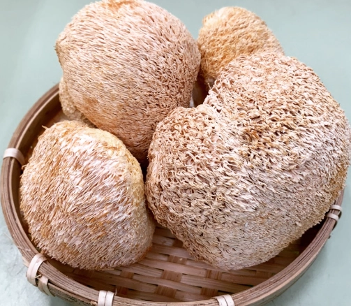 乾猴頭菇怎麼煮 乾猴頭菇怎麼煮