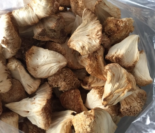 乾猴頭菇營養 乾猴頭菇營養