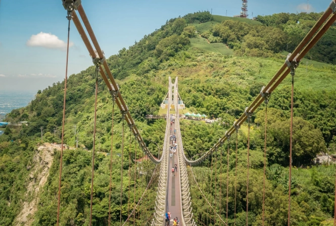 嘉義自由行攻略