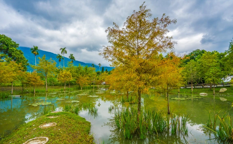 壽豐新景點全攻略：探索花蓮隱藏版旅遊秘境與實用指南