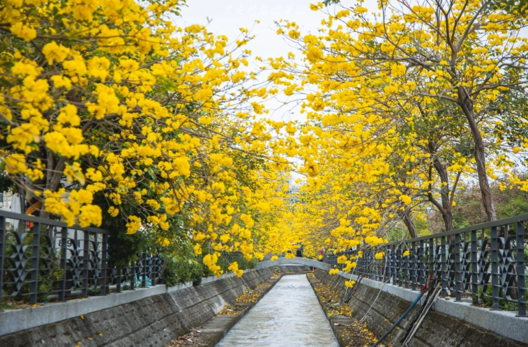員林景點一日遊攻略：必訪景點、行程規劃與在地美食推薦