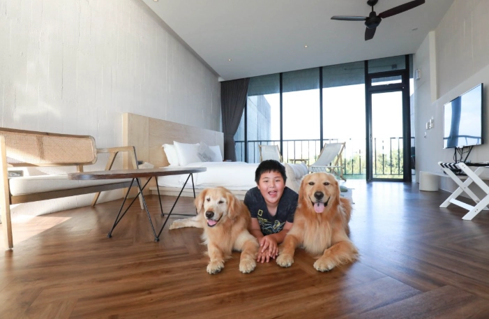 寵物友善包棟民宿選擇指南：帶毛小孩旅行完整攻略