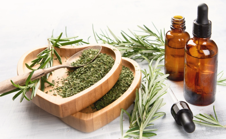 迷迭香精油功效使用方法全攻略：從頭到腳的天然護理指南