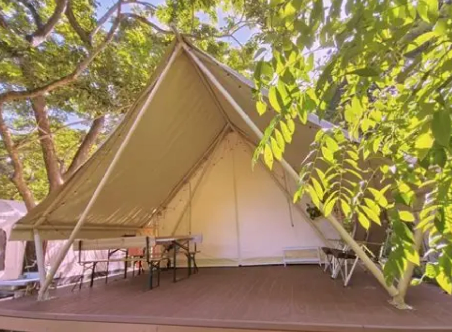 文山農場露營評價：真實體驗分享與完整攻略指南