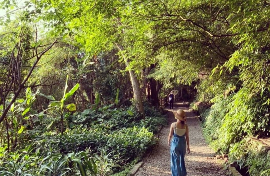 天母古道怎麼去？完整交通攻略與路線解析