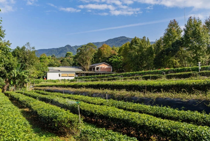 文山農場門票 文山農場門票