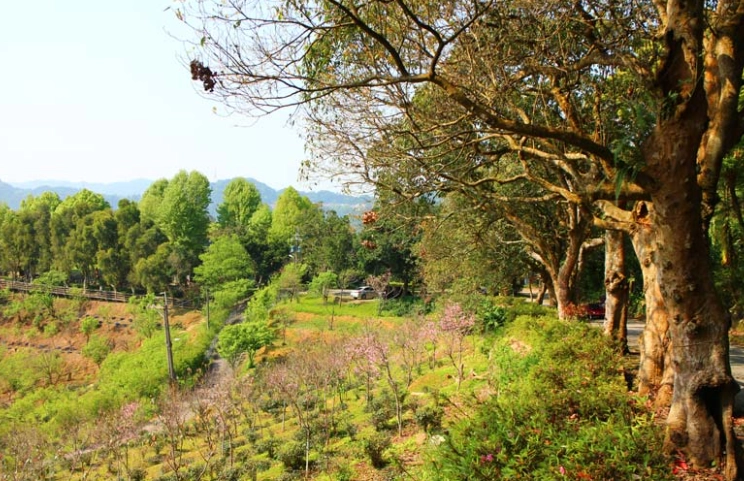 文山農場交通 文山農場交通