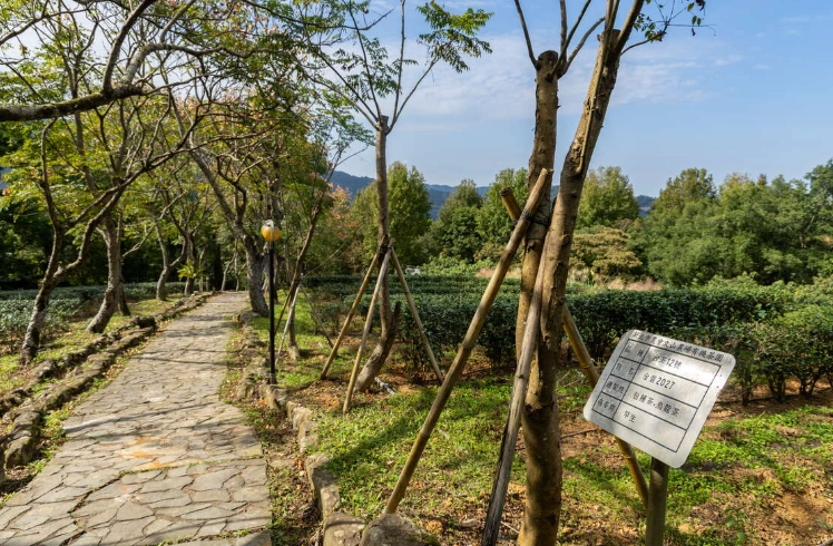 文山農場交通 文山農場交通