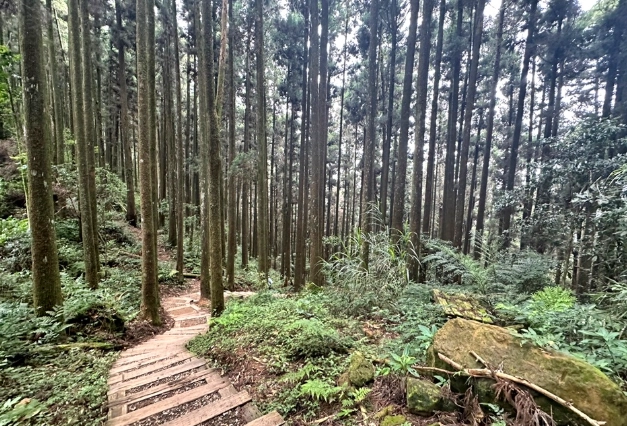 阿里山步道推薦