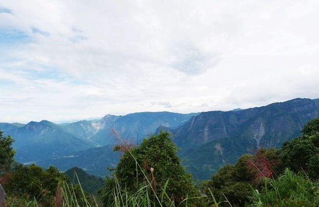 阿里山步道推薦
